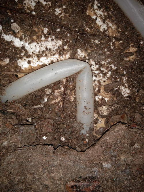 礼县堵点精准查找